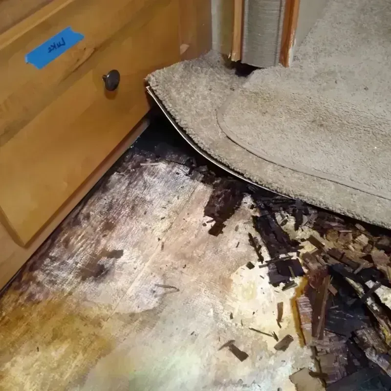 Wood Floor Water Damage in Delaware City, DE